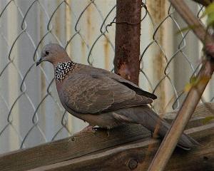 门可罗雀,探寻人迹罕至的神秘之地