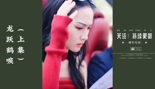 龙跃鹤唳,谱写传奇