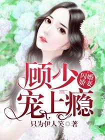 顾少的闪婚娇妻：认错总裁嫁对郎,从认错总裁到闪婚娇妻的幸福逆袭