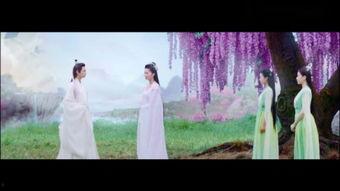 双生花落又逢君,一场跨越时空的奇幻邂逅