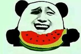 吃瓜网友,揭秘娱乐圈幕后真相